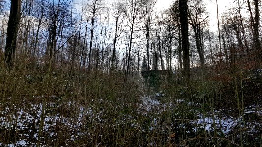 Valkenburg-bunker C in Polferbos (2)