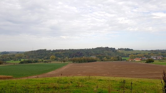 Valkenburg-Schaelsbergerbos (3)
