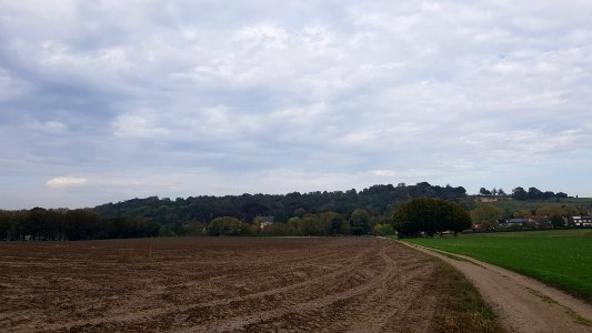 Valkenburg-Schaelsbergerbos (4)