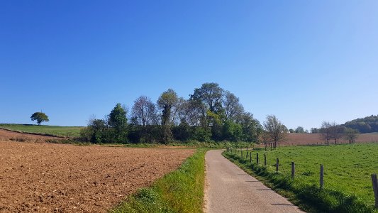 Valkenburg-Auvermansboschke (9)