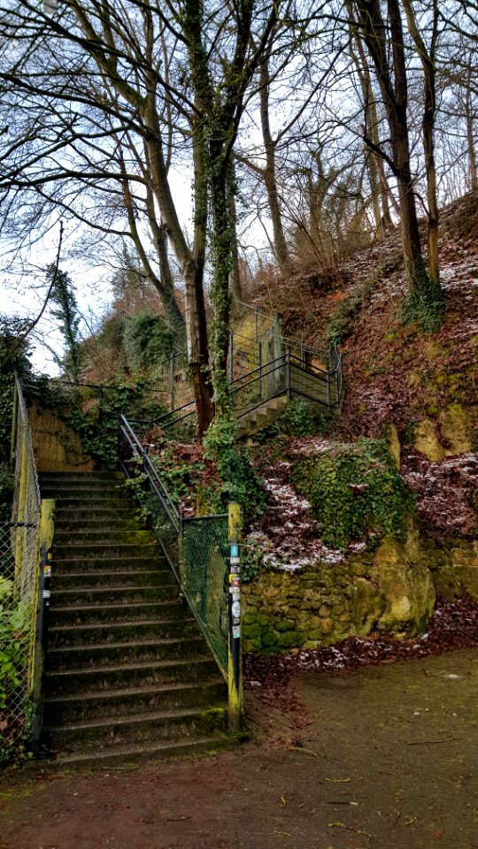 Valkenburg-Polferbos (22)