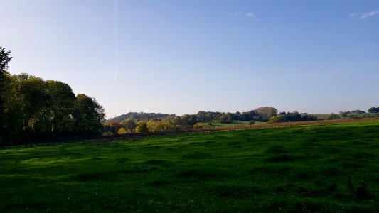 Valkenburg-Schaelsbergerbos (5)