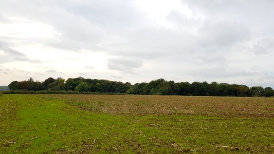 Valkenburg-Schaelsbergerbos (1)