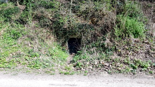 Valkenburg-Oosterweggroeve I (5)