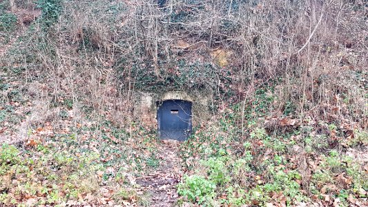 Valkenburg-Oosterweggroeve I (8)