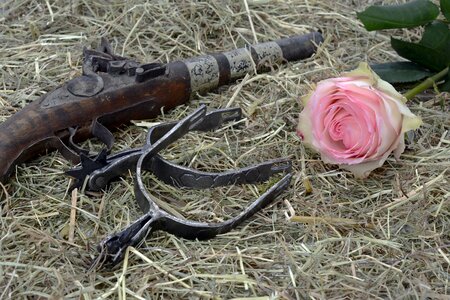 Wild west freedom ride