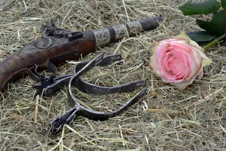 Wild west freedom ride photo