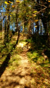 Valkenburg-Heiberggroeve (9)