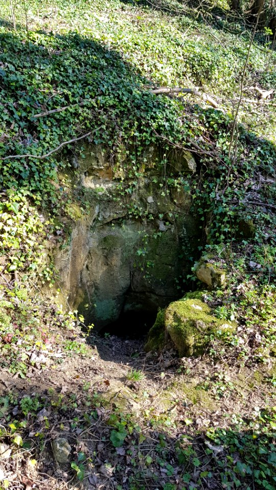 Valkenburg-Ingvarsputje (7)