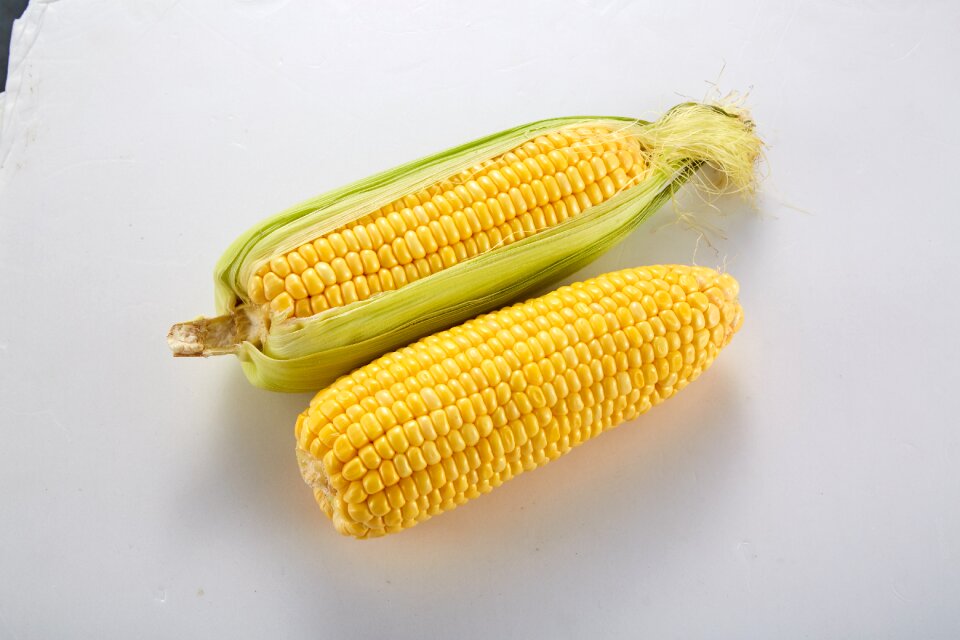 Corn with skin corn corn on the cob