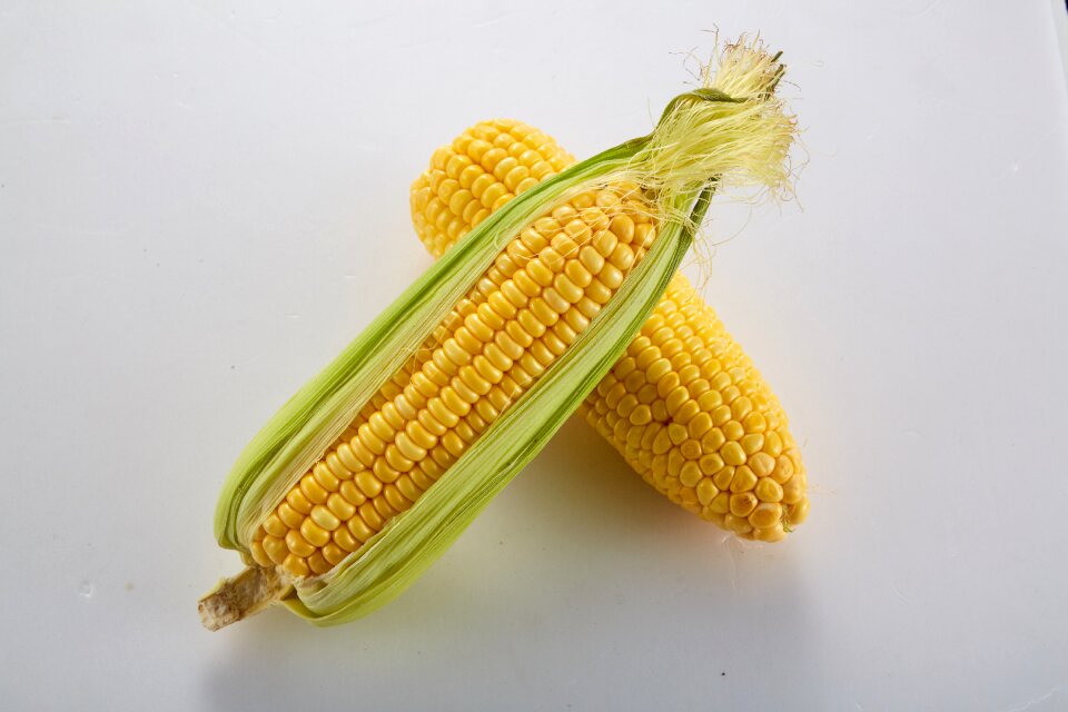Whole grains corn grain