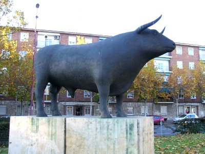 Valladolid - escultura de toro