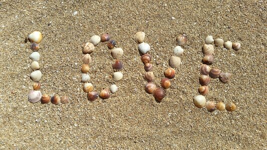 Shells in sand sea nature photo