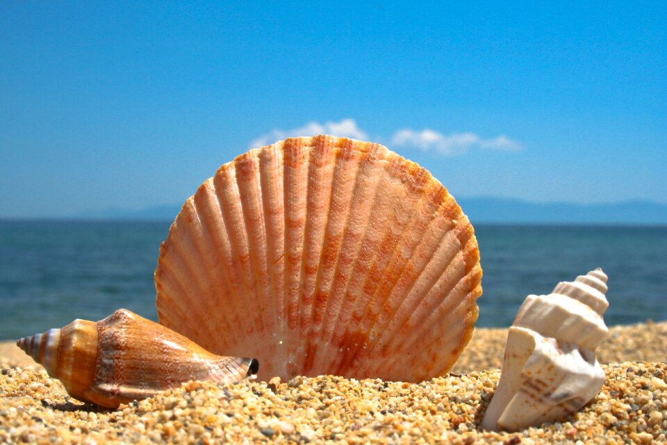 Sea sand blue