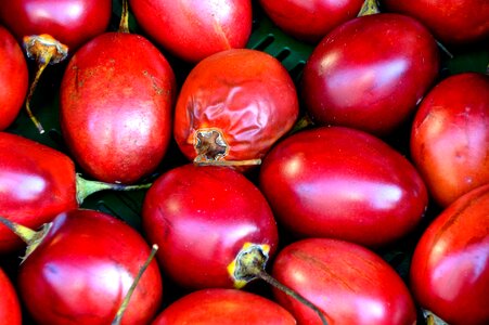 Market purchasing bio