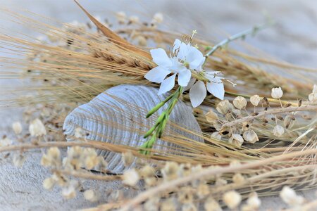 Decorative flowers table