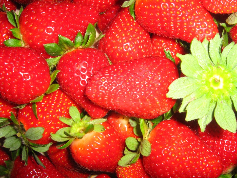 Sweet fruits summer