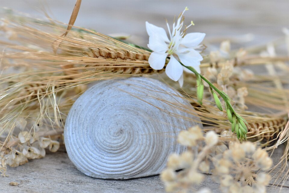 Decorative flowers table