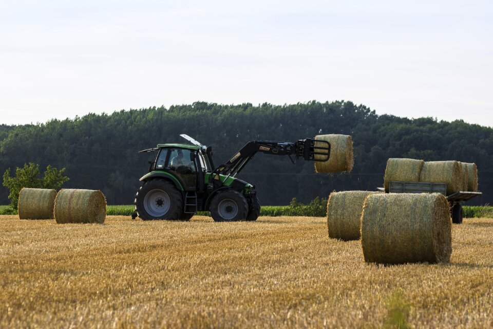 Bauer agriculture fields