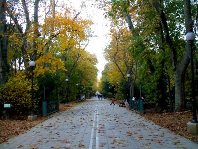 Valladolid - Campo Grande