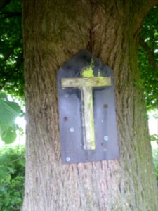 Val-Meer-Kwartjesboom (6)