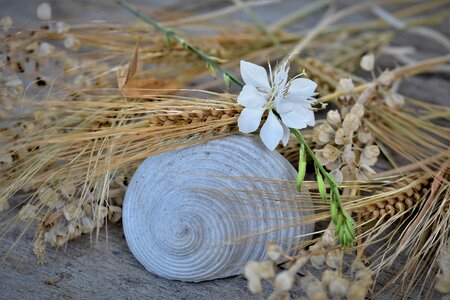 Decorative flowers table