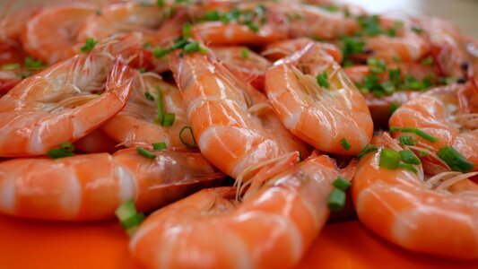 Shrimp fish plate photo