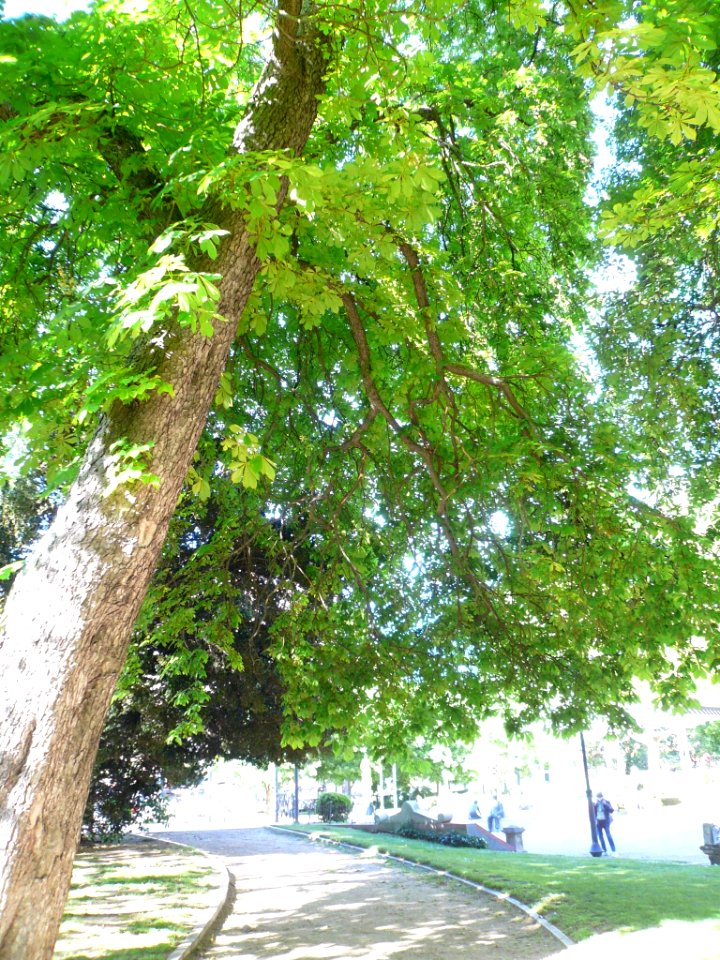 Valladolid - Plaza de Poniente 03