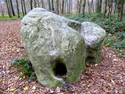 Vaals-Geologisch monument Grindgroeve Elzetterbosch (4)