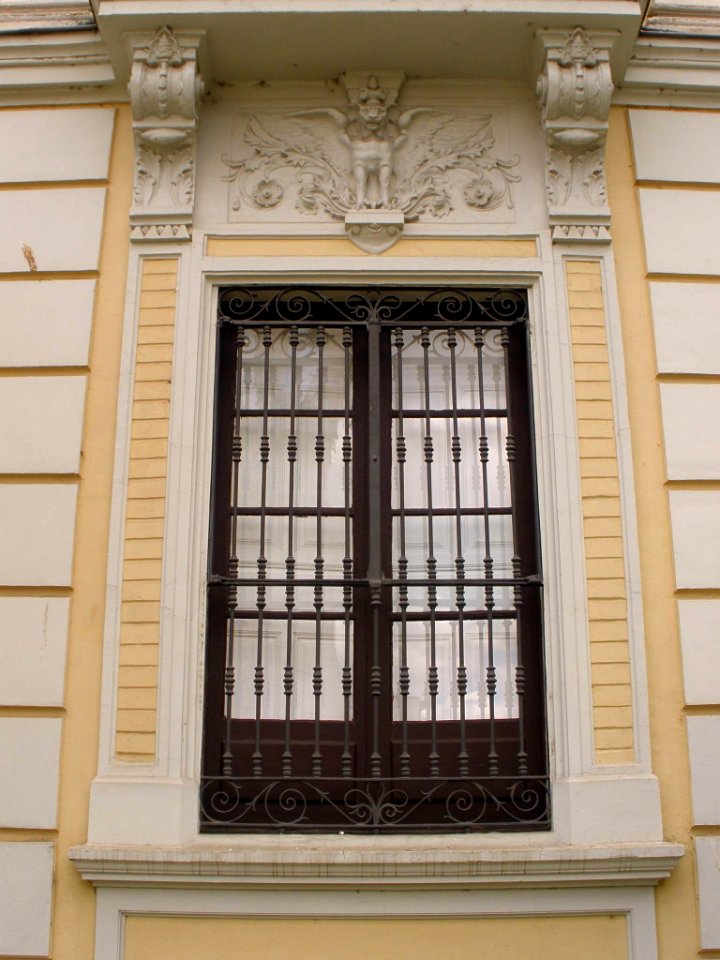 Valladolid - Antiguo Palacio Real, sede de la IV Subinspección General del Ejército 04