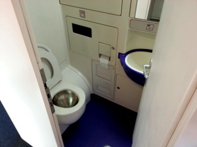 V250 Interior toilet