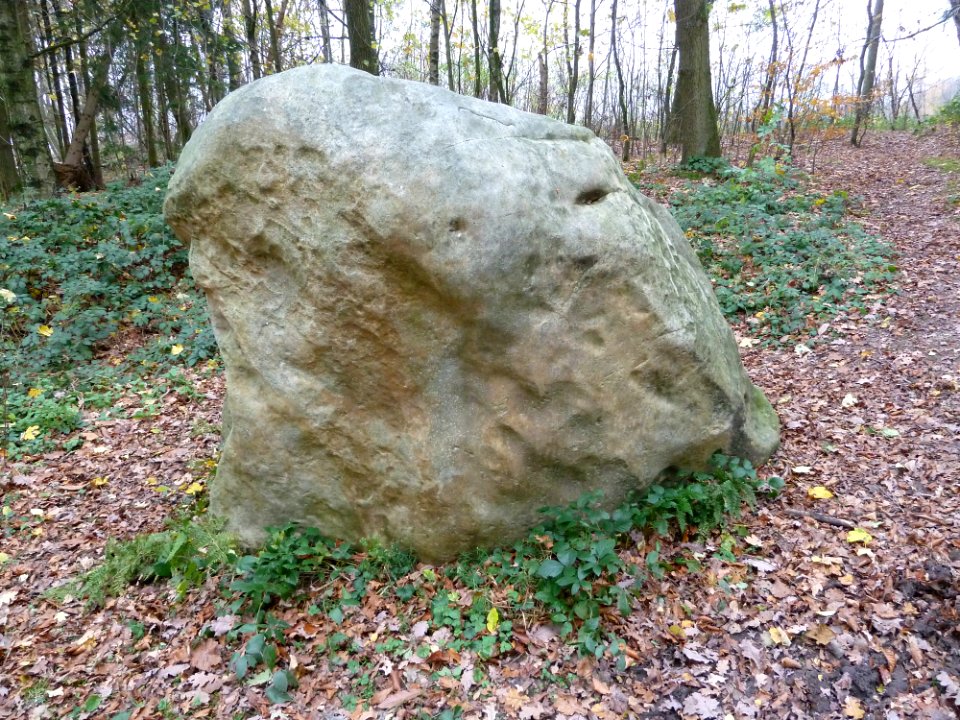 Vaals-Geologisch monument Grindgroeve Elzetterbosch (5)