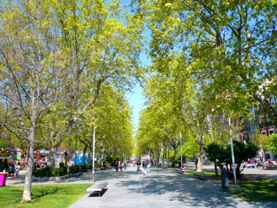 Valladolid - Acera de Recoletos (01) 01