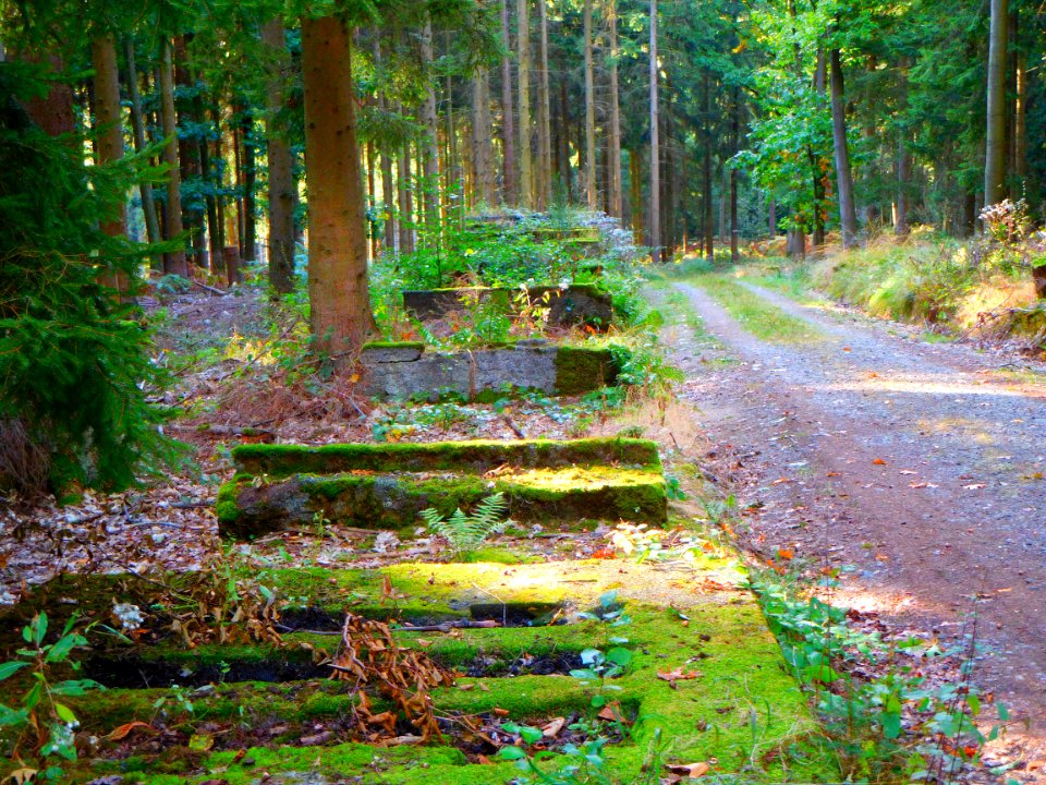 V 1 Abschussrampe im Erpeler Kirchspielwald 2016