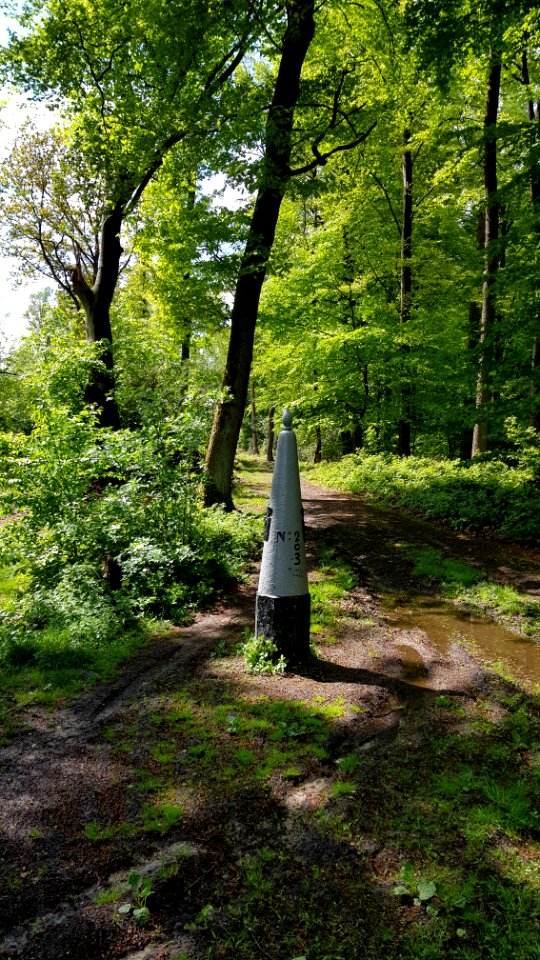 Vaalserberg-Grenspaal 2 (BE-NL) (3)