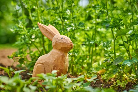 Rabbit cute easter