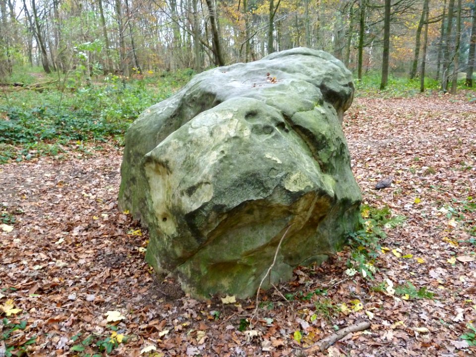 Vaals-Geologisch monument Grindgroeve Elzetterbosch (2)