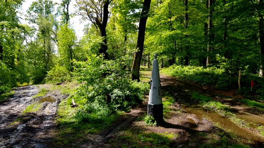 Vaalserberg-Grenspaal 2 (BE-NL) (4)
