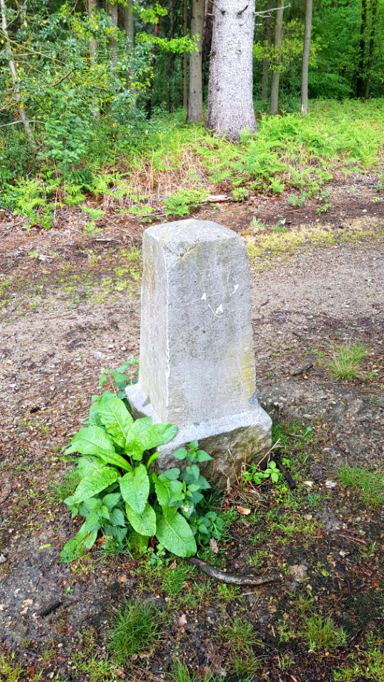 Vaalserberg-Grenspaal 1a (BE-NL) (6)