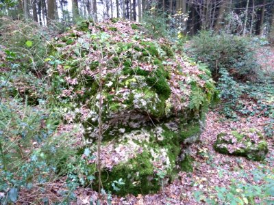 Vaals-Geologisch monument Sterrenstenen Vijlenerbosch (6)