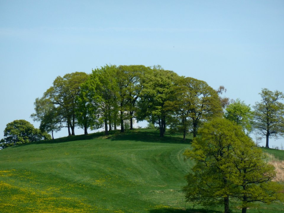 Vaals-Bokkebosje (1)