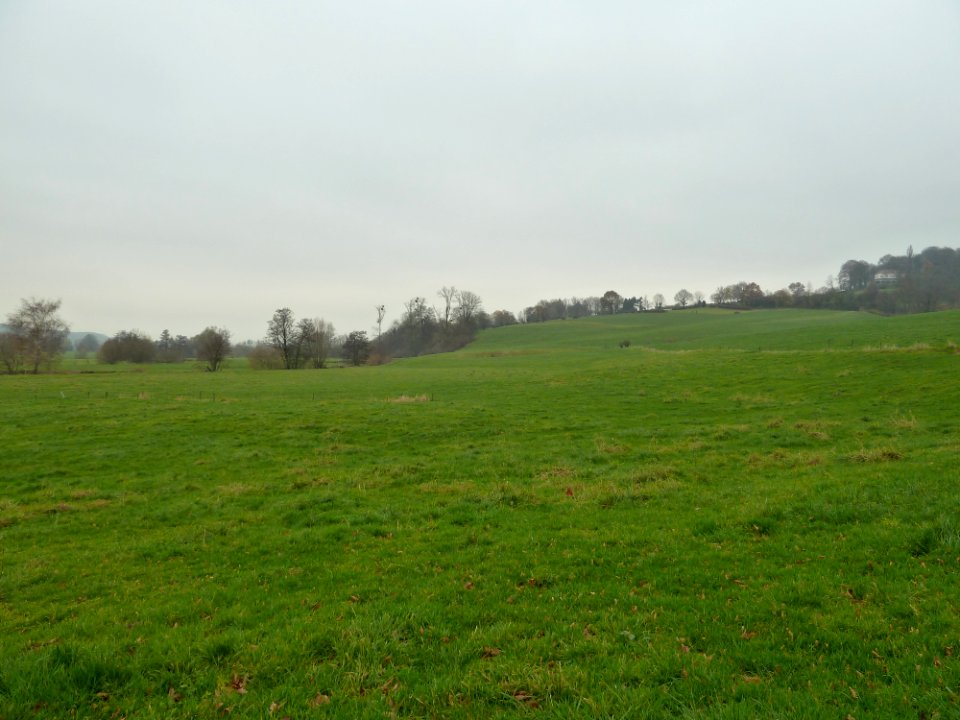 Vaals-Terrein ten noorden Camerig (2)