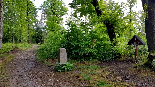 Vaalserberg-Grenspaal 1a (BE-NL) (4)