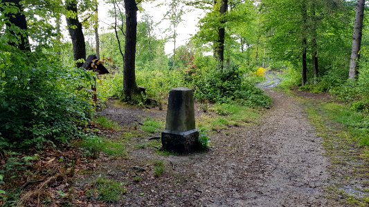 Vaalserberg-Grenspaal 1a (BE-NL) (3)
