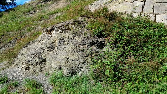 Vaals-Geologisch monument Heimansgroeve (7)