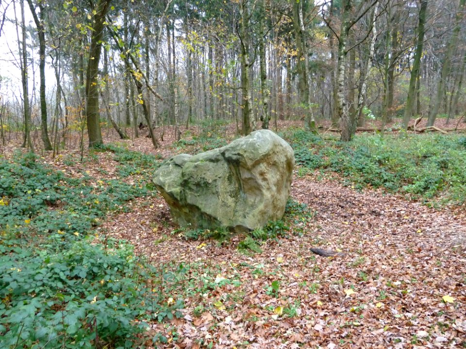 Vaals-Geologisch monument Grindgroeve Elzetterbosch (1)