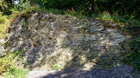 Vaals-Geologisch monument Heimansgroeve (10)
