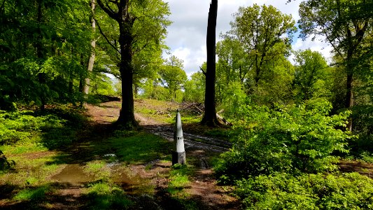 Vaalserberg-Grenspaal 2 (BE-NL) (7)