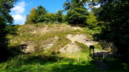 Vaals-Geologisch monument Heimansgroeve (3)