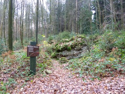 Vaals-Geologisch monument Sterrenstenen Vijlenerbosch (2)